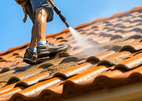 nettoyage toiture orleans